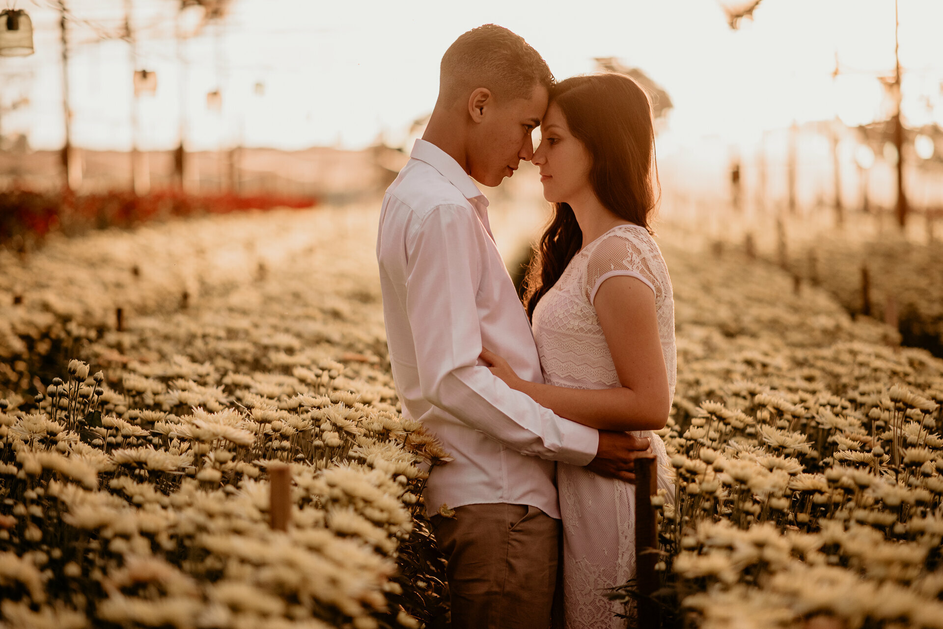 Ensaio de casamento em Holambra SP